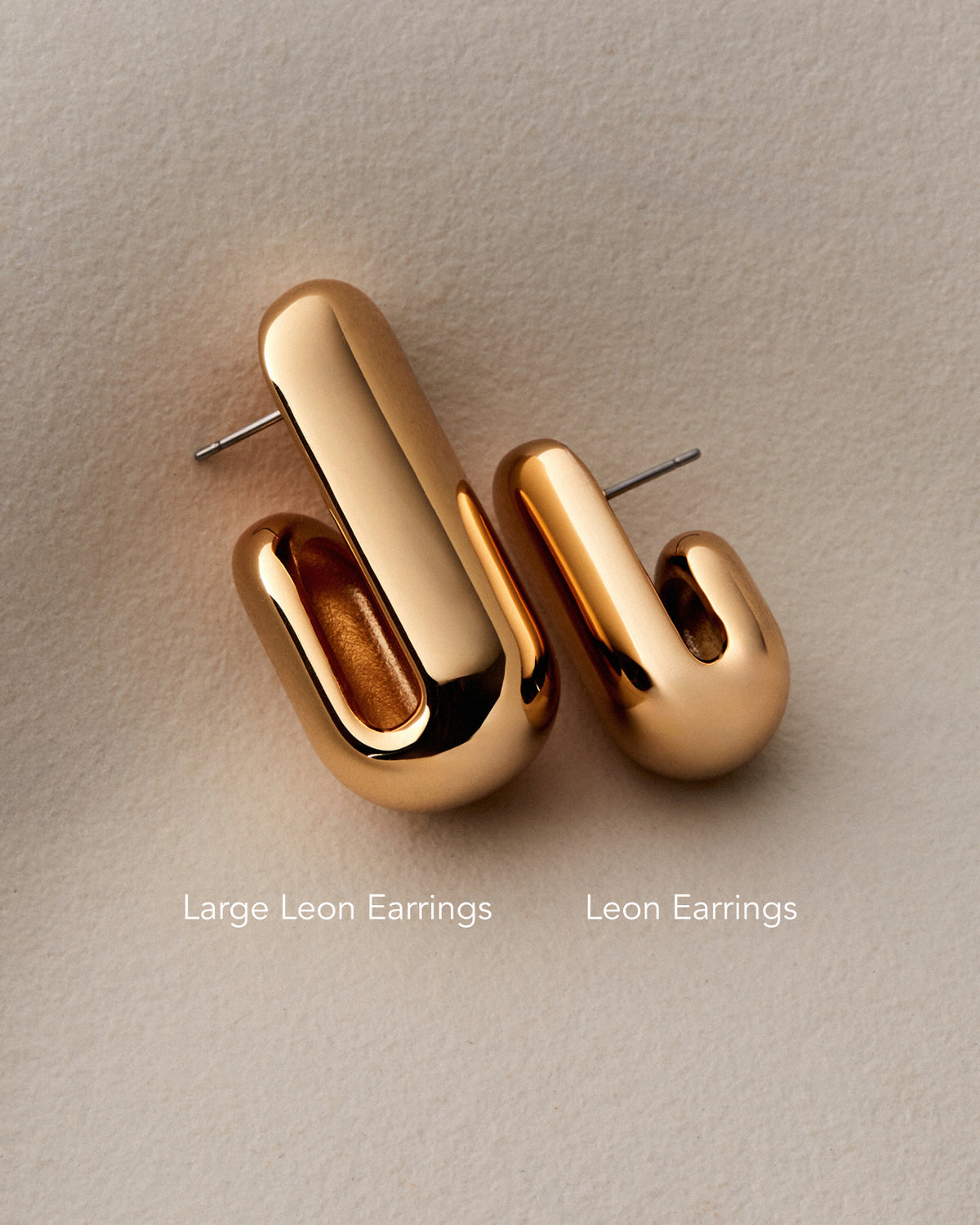 Large Leon Earrings